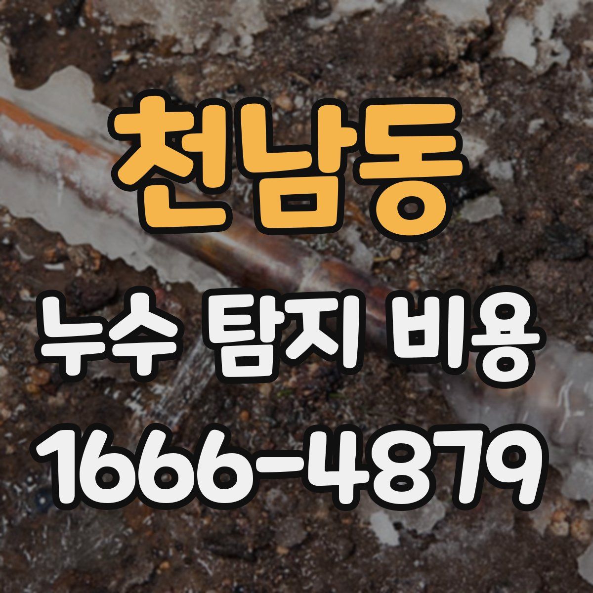 천남동 누수 탐지 비용