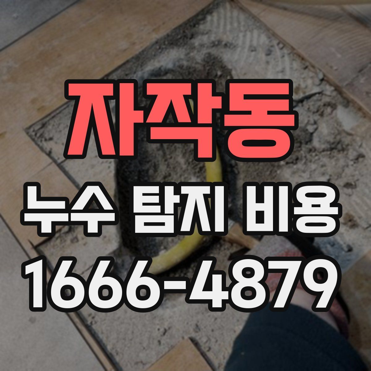 자작동 누수 탐지 비용