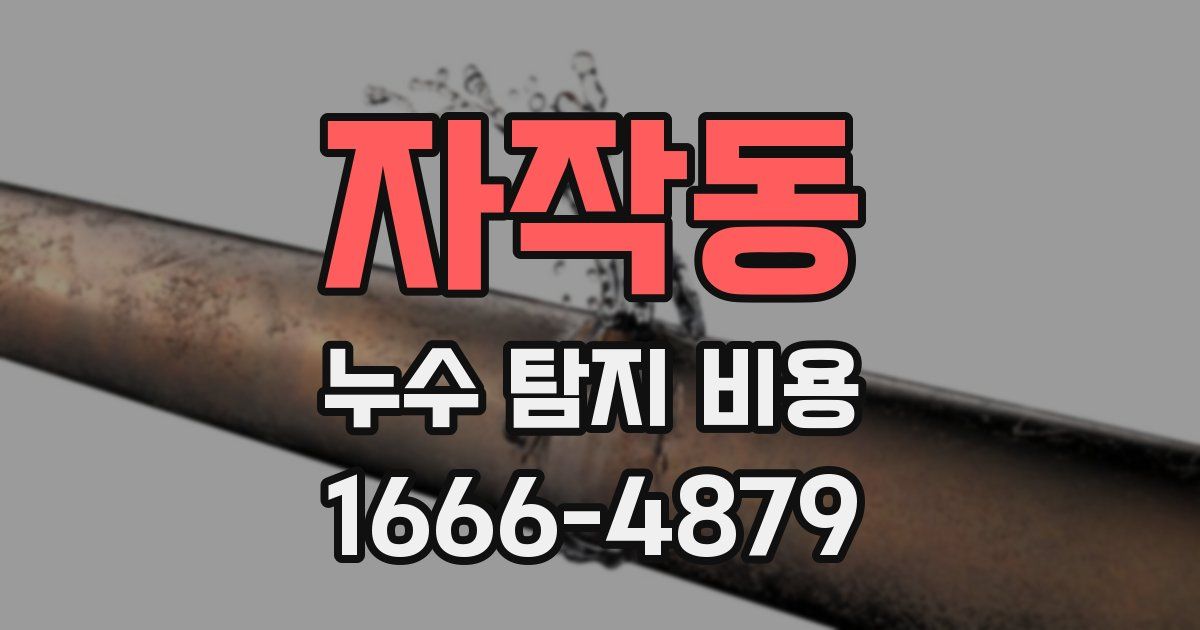 자작동 누수 탐지 비용