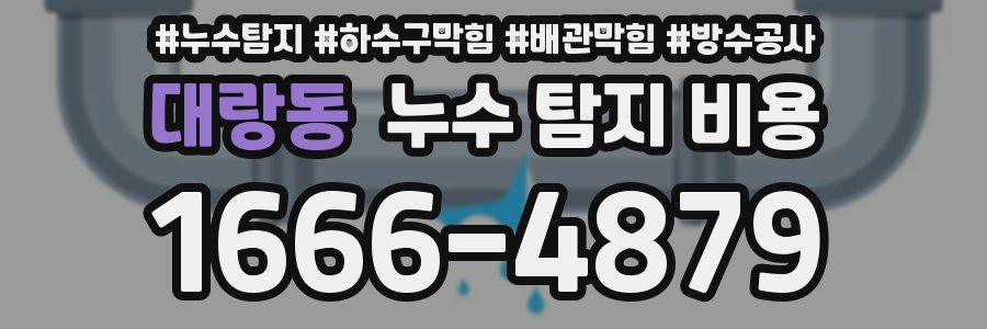 대랑동 누수 탐지 비용