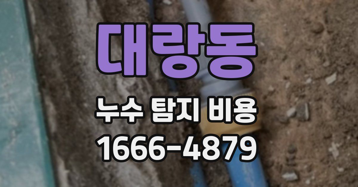 대랑동 누수 탐지 비용
