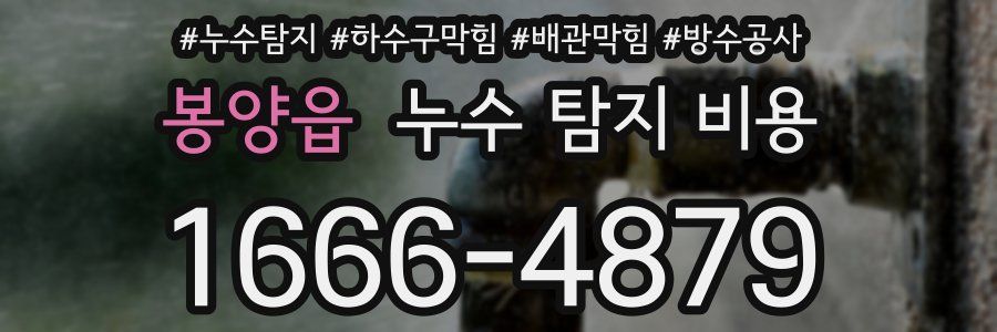 봉양읍 누수 탐지 비용