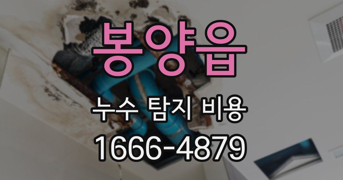 봉양읍 누수 탐지 비용