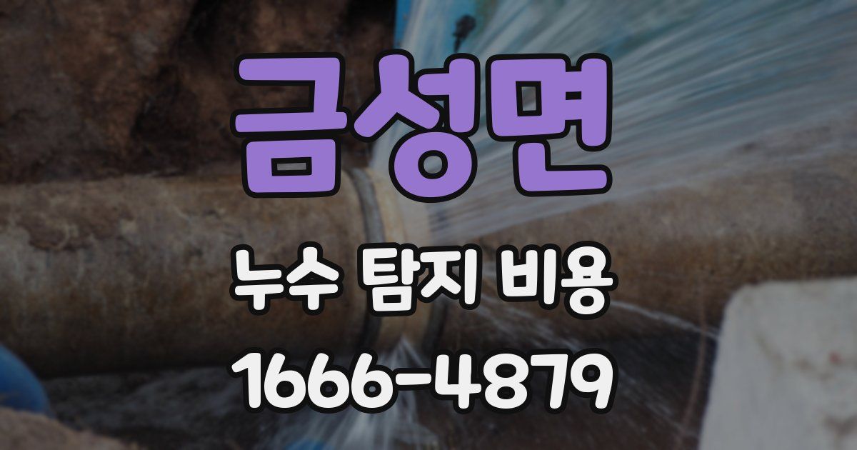 금성면 누수 탐지 비용