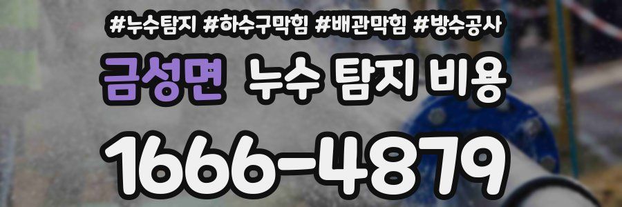 금성면 누수 탐지 비용