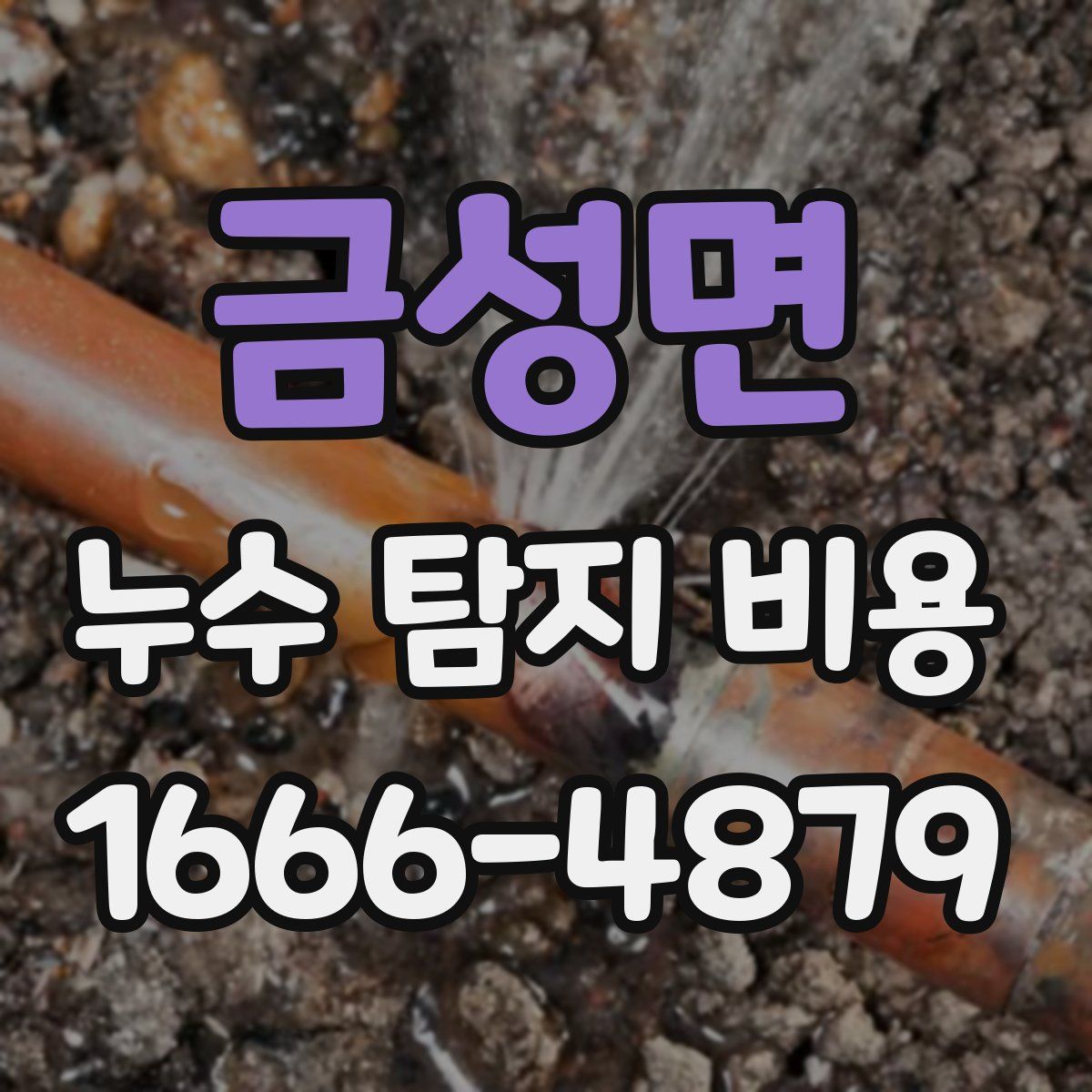 금성면 누수 탐지 비용