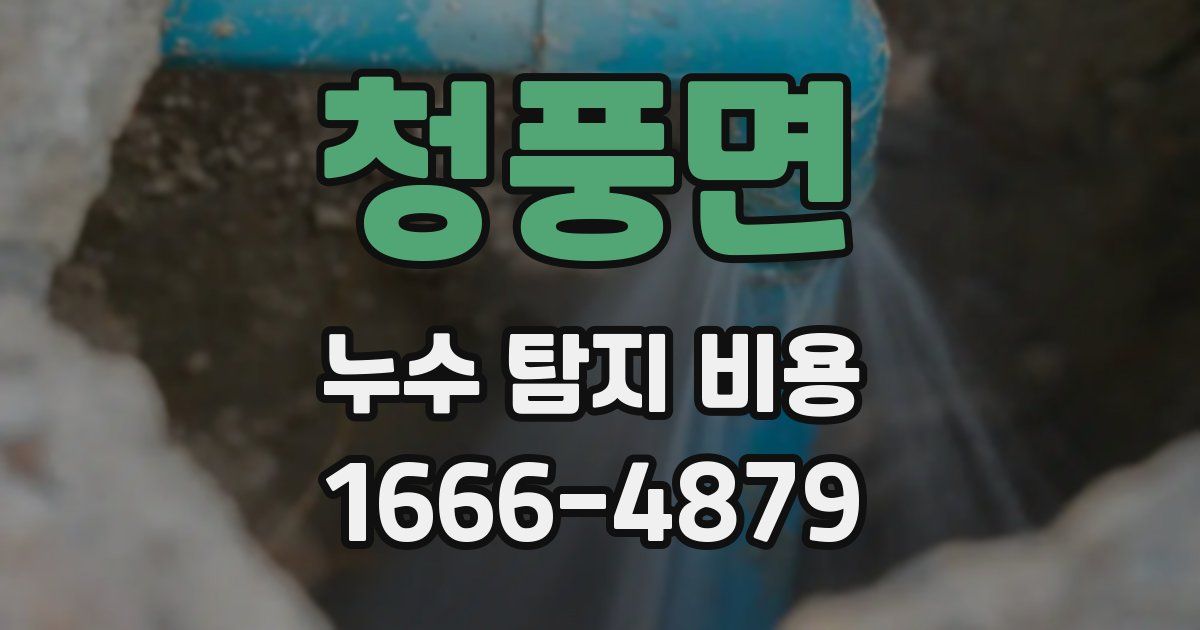 청풍면 누수 탐지 비용