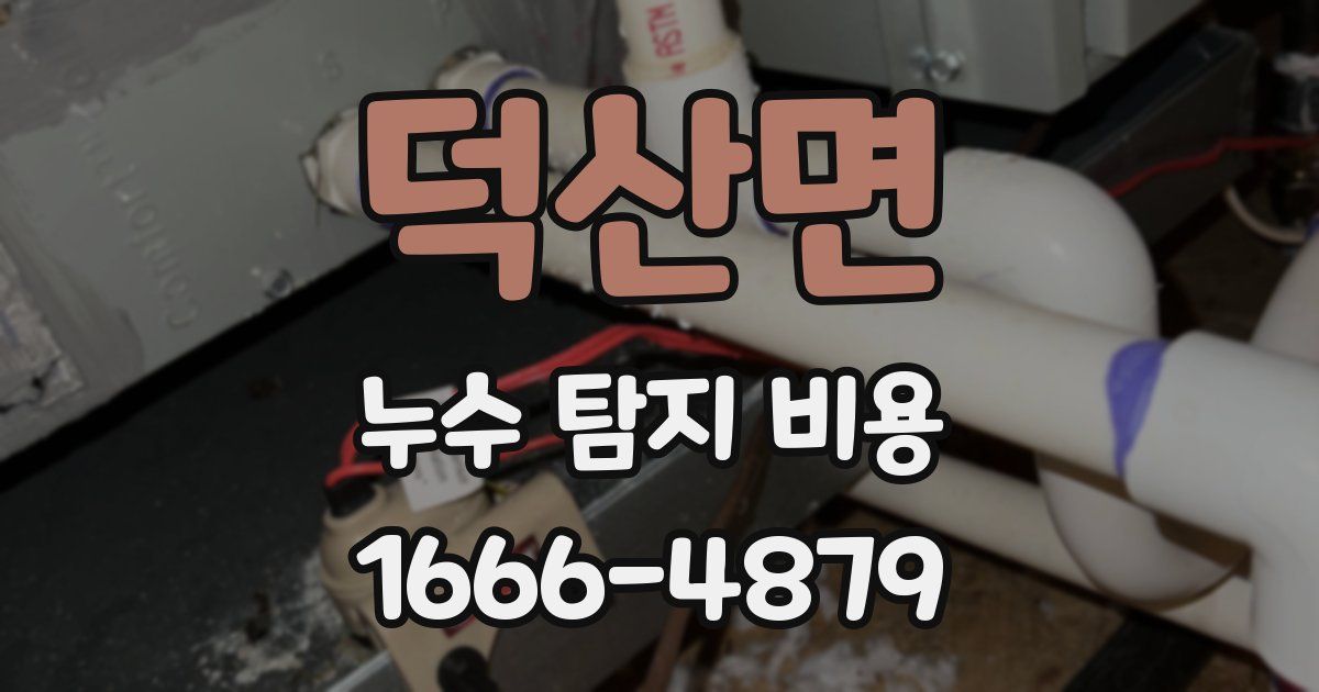 덕산면 누수 탐지 비용