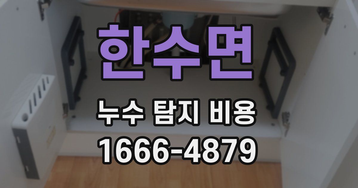 한수면 누수 탐지 비용