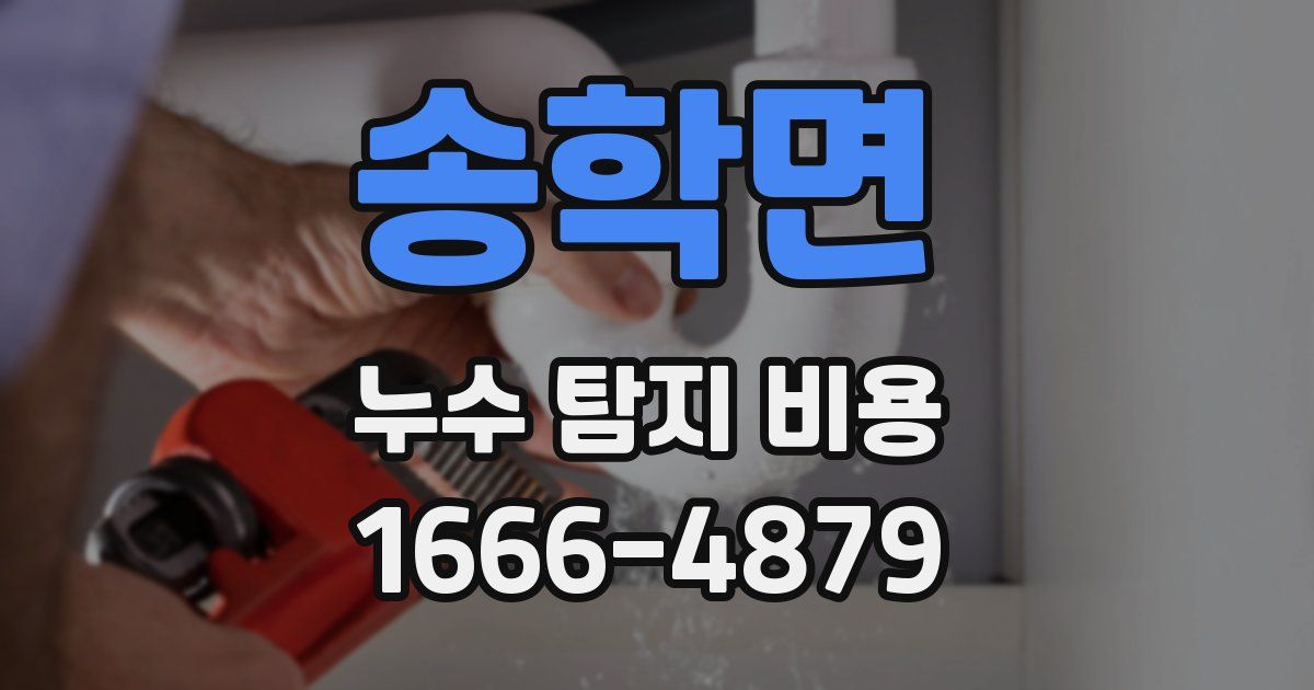 송학면 누수 탐지 비용