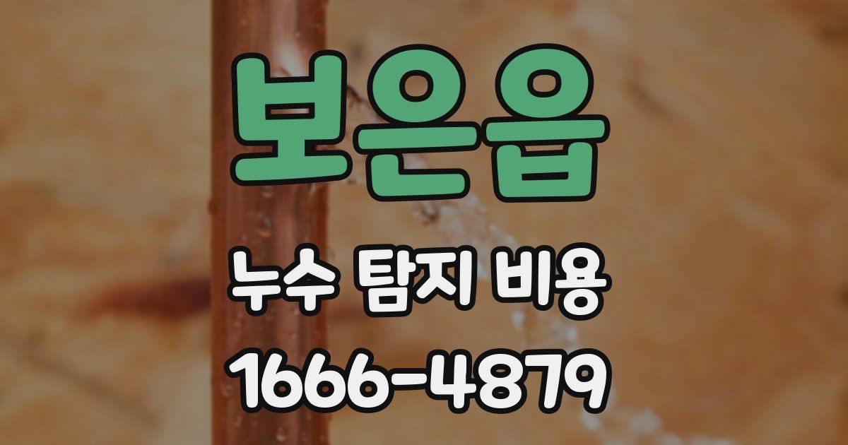 보은읍 누수 탐지 비용