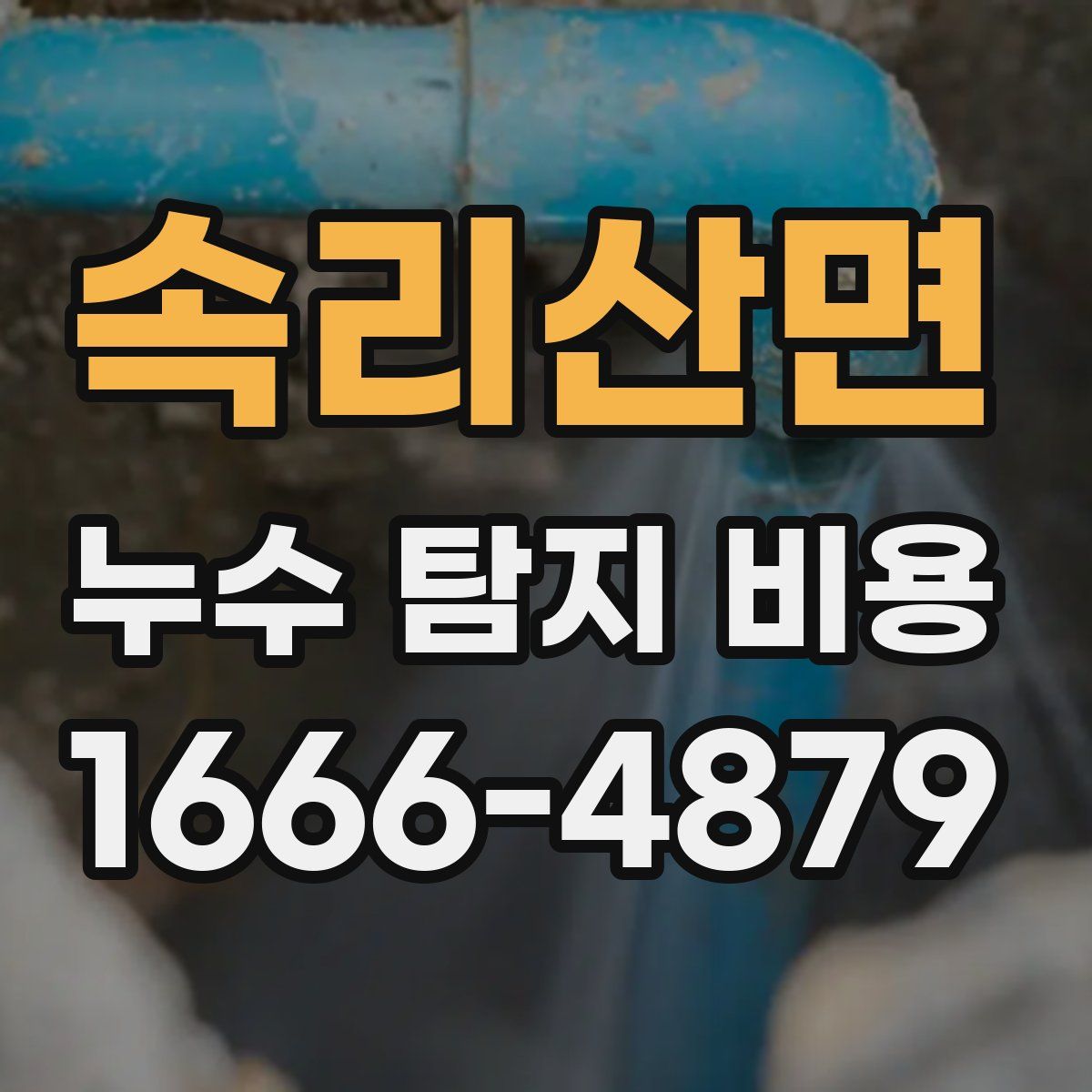 속리산면 누수 탐지 비용