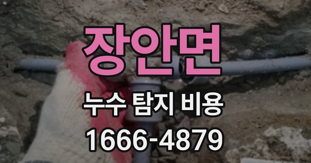 장안면 누수 탐지 비용