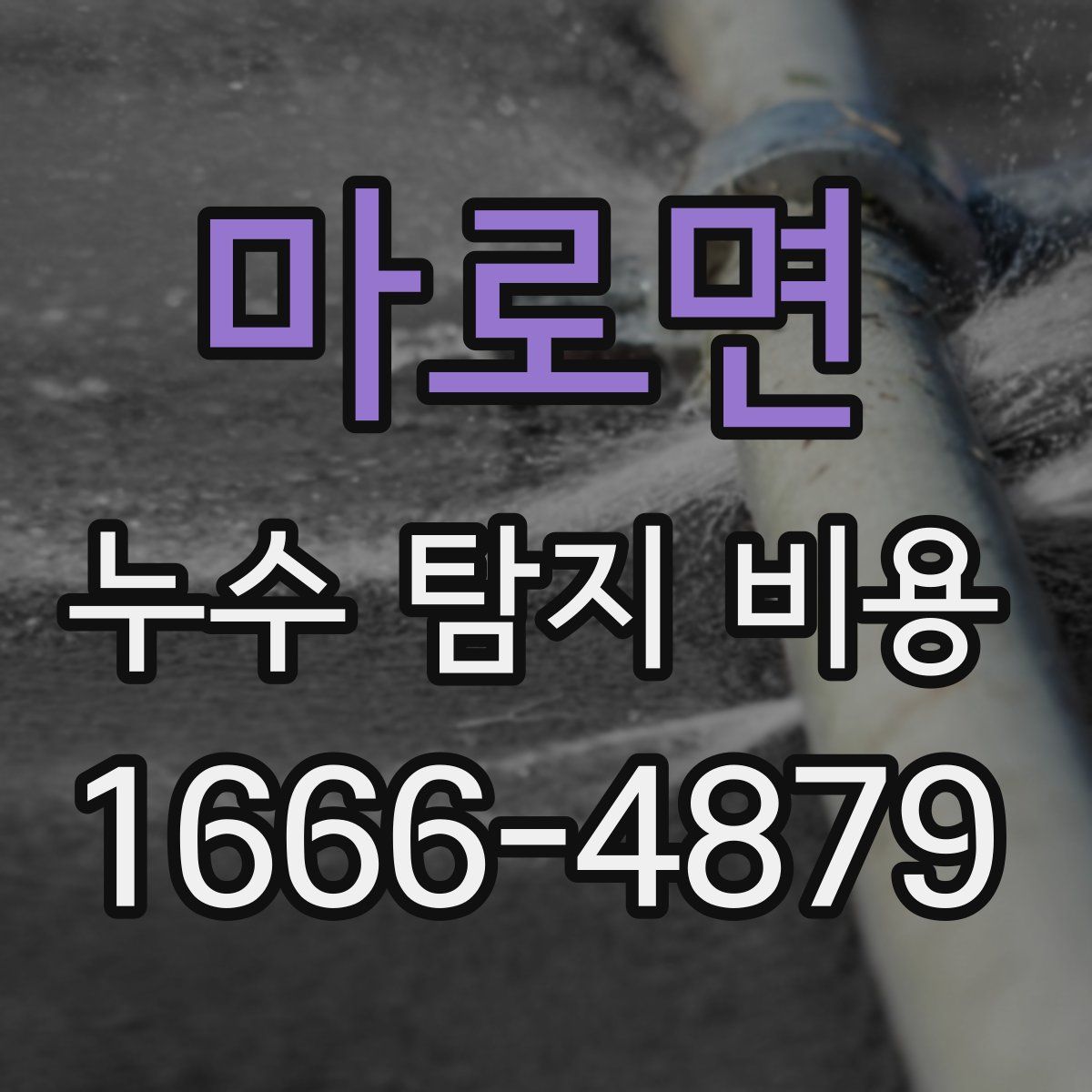 마로면 누수 탐지 비용