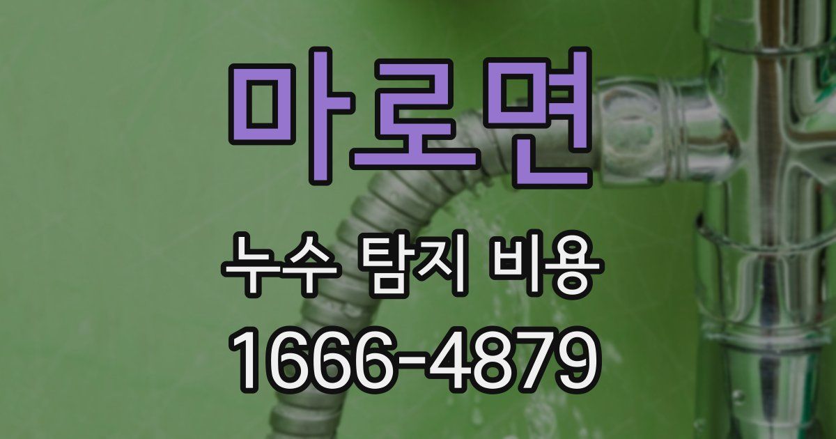 마로면 누수 탐지 비용