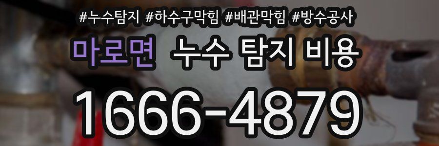 마로면 누수 탐지 비용