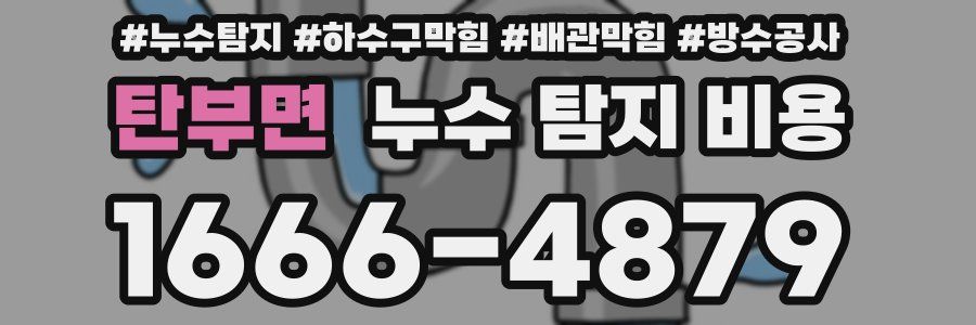 탄부면 누수 탐지 비용