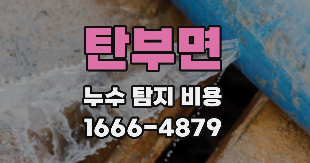 탄부면 누수 탐지 비용
