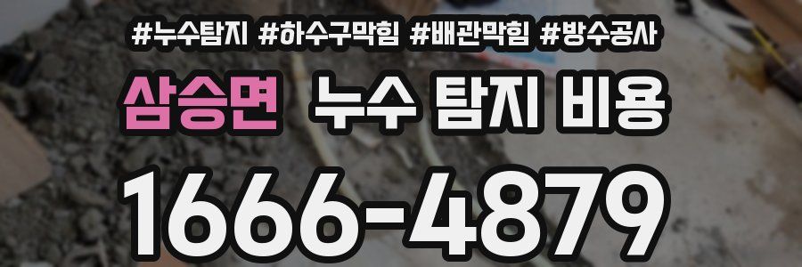 삼승면 누수 탐지 비용