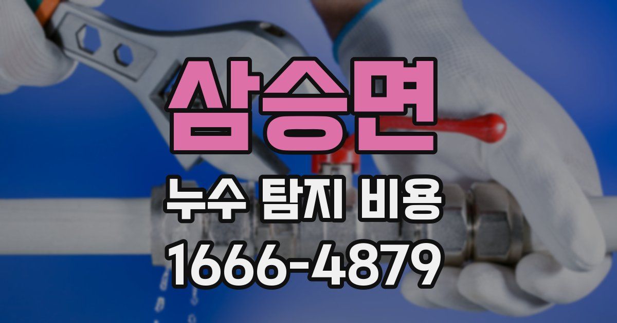 삼승면 누수 탐지 비용
