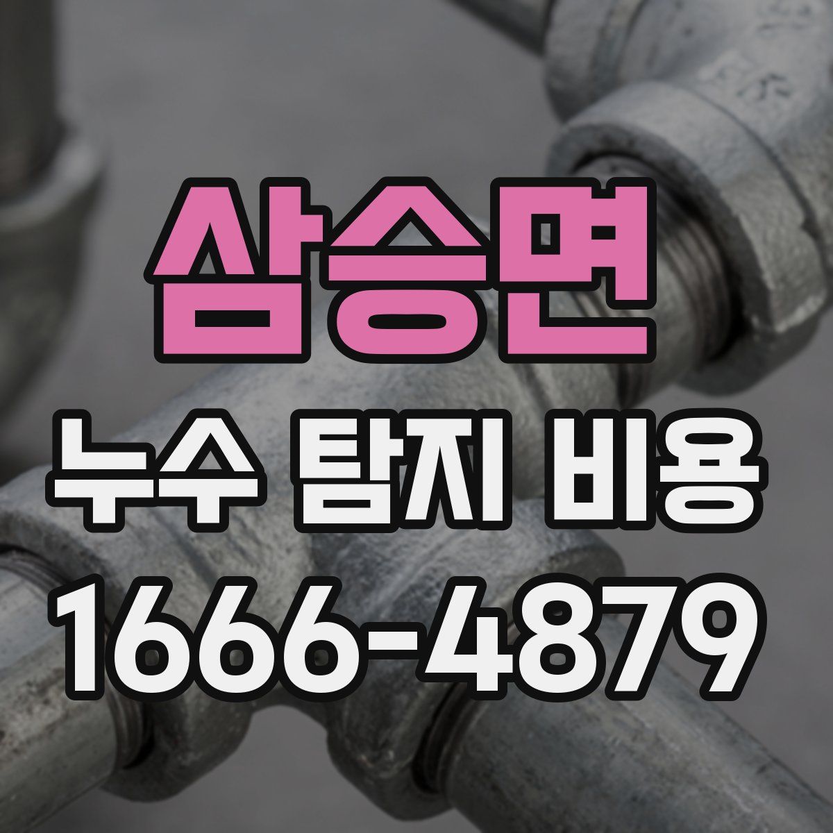 삼승면 누수 탐지 비용