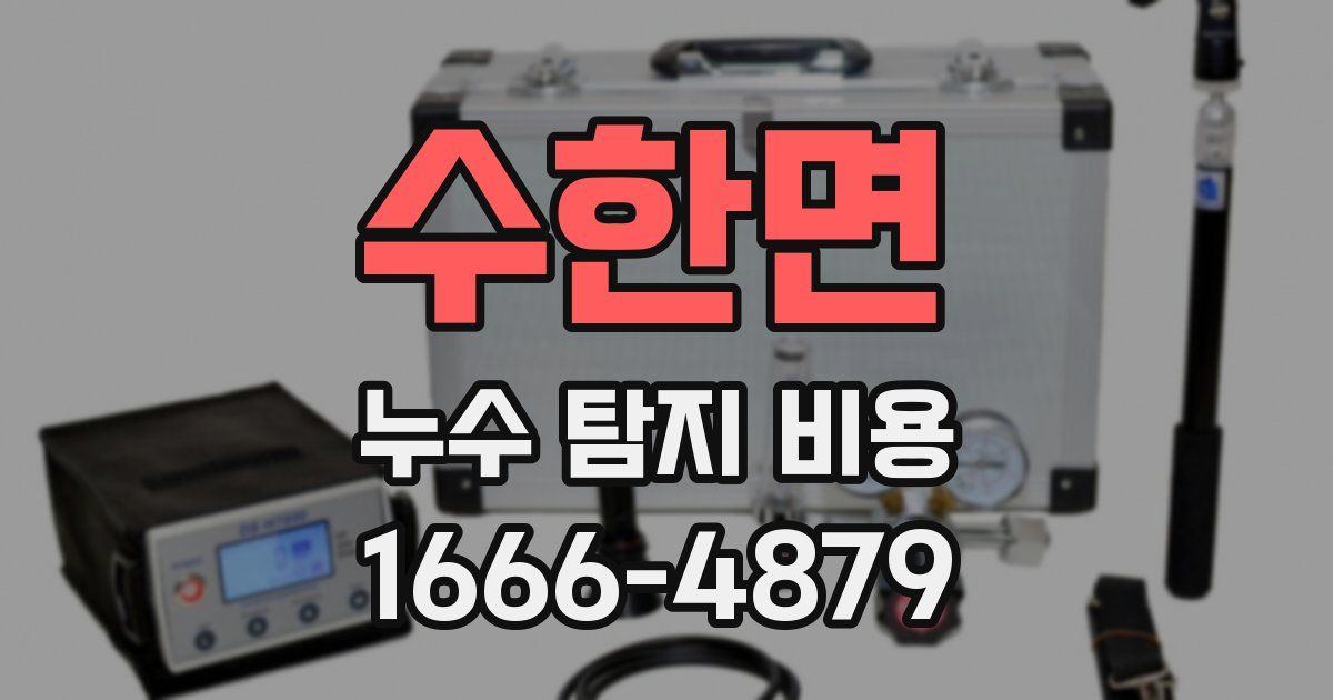 수한면 누수 탐지 비용