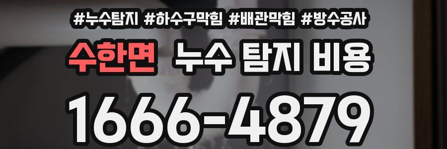 수한면 누수 탐지 비용