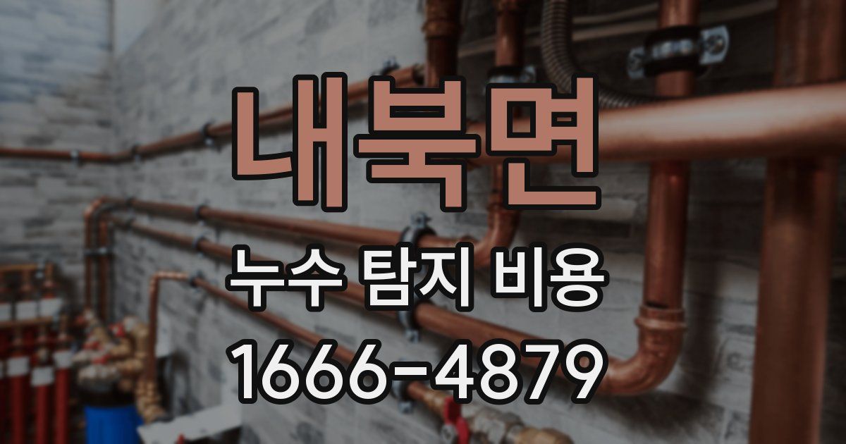 내북면 누수 탐지 비용