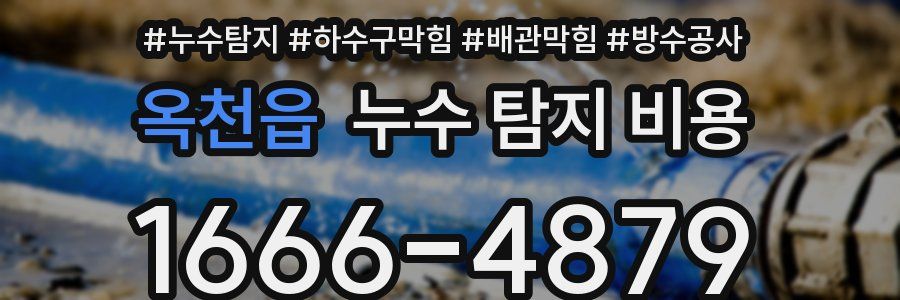 옥천읍 누수 탐지 비용