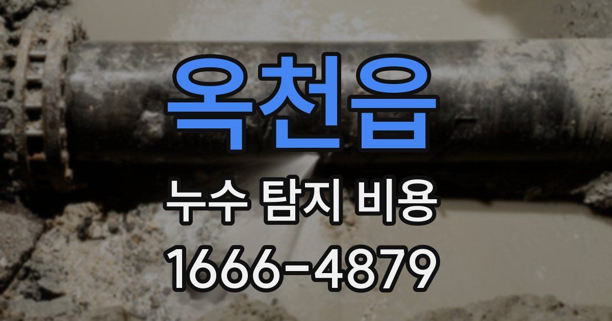 옥천읍 누수 탐지 비용