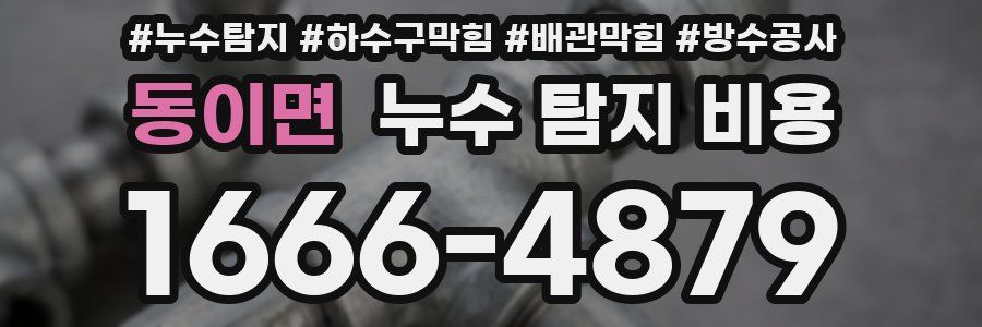 동이면 누수 탐지 비용