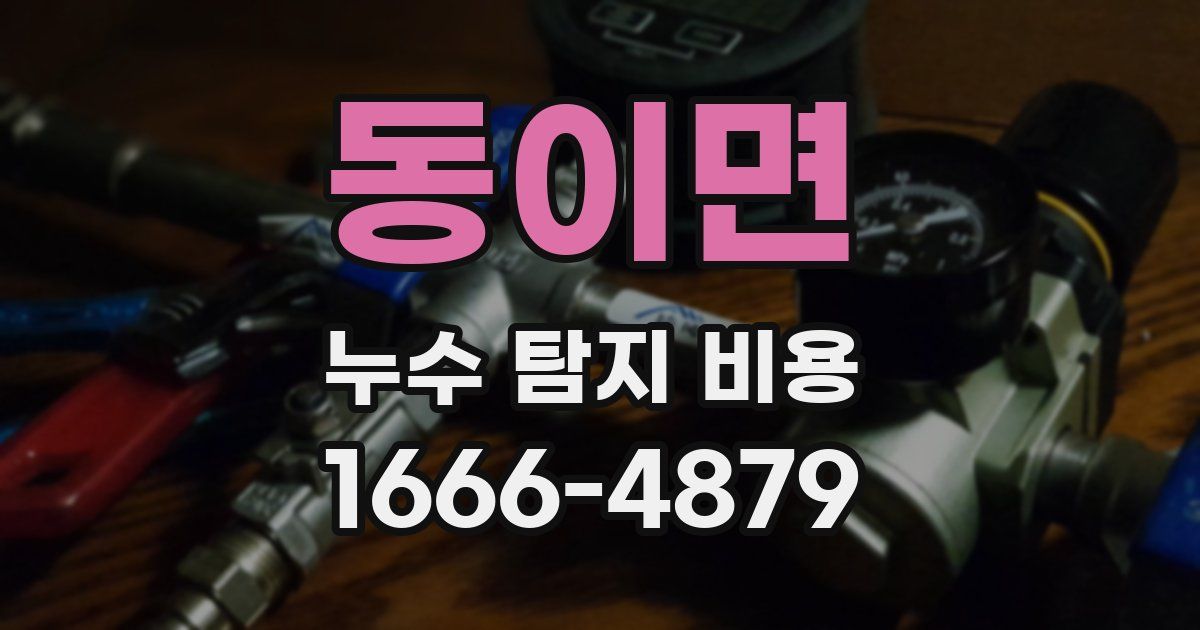 동이면 누수 탐지 비용