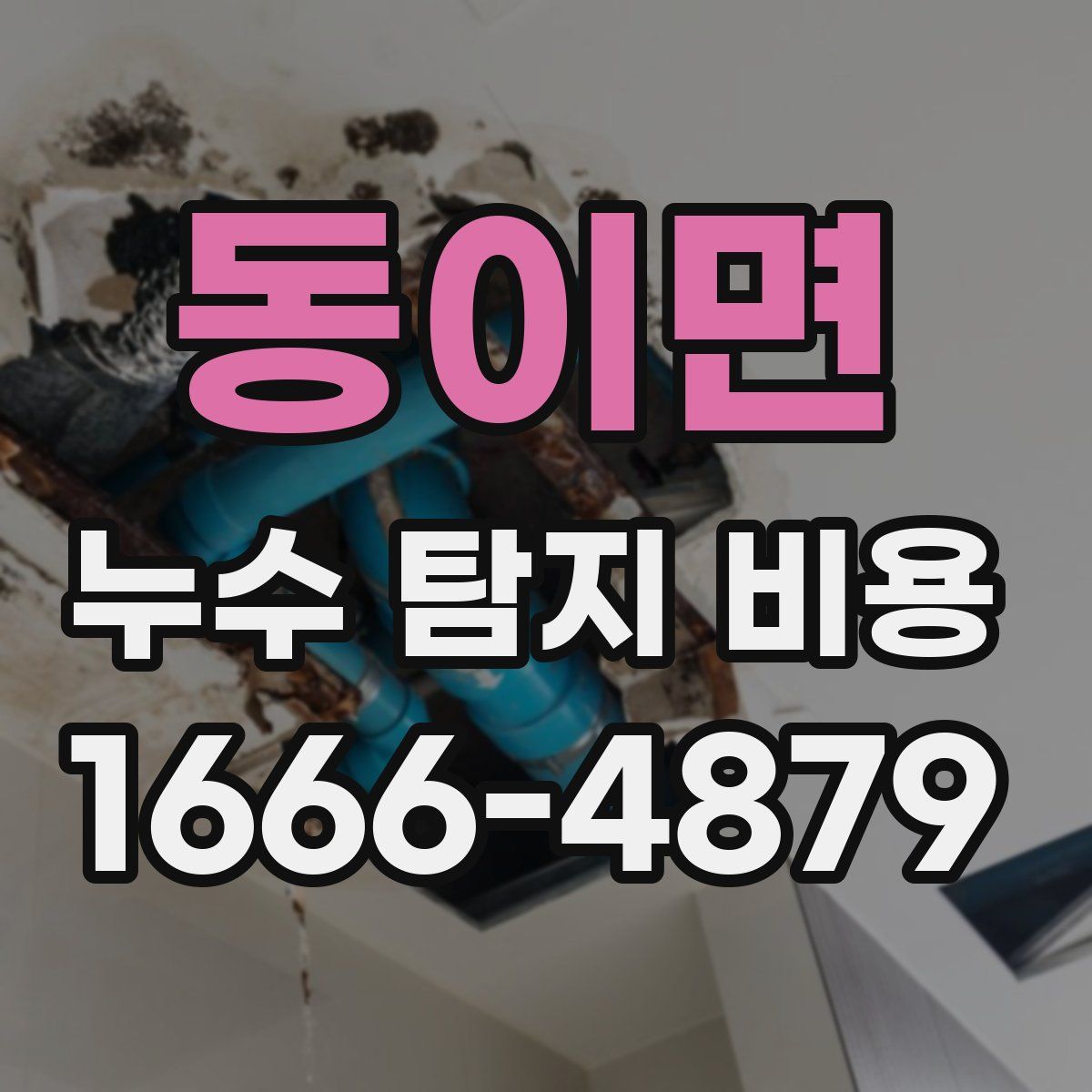 동이면 누수 탐지 비용