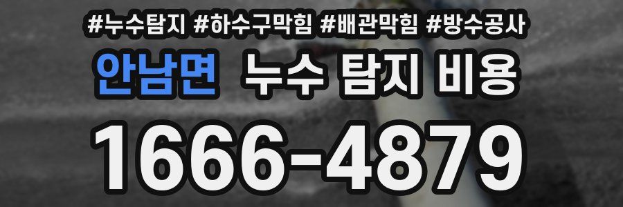 안남면 누수 탐지 비용