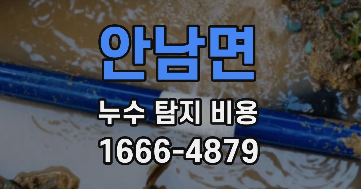 안남면 누수 탐지 비용