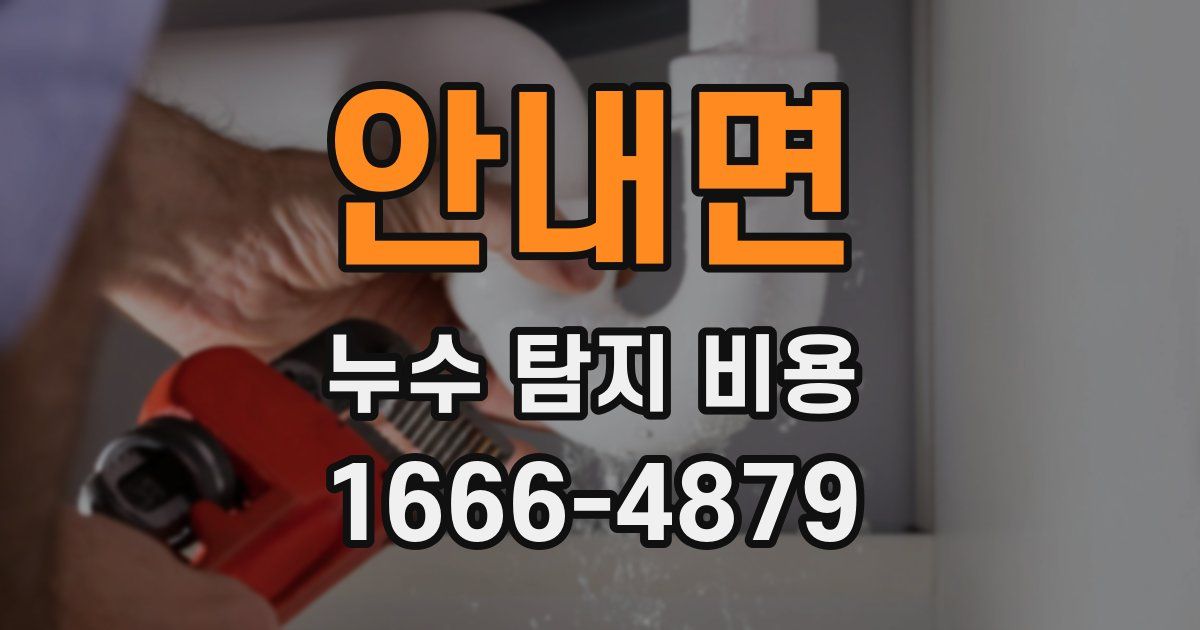 안내면 누수 탐지 비용