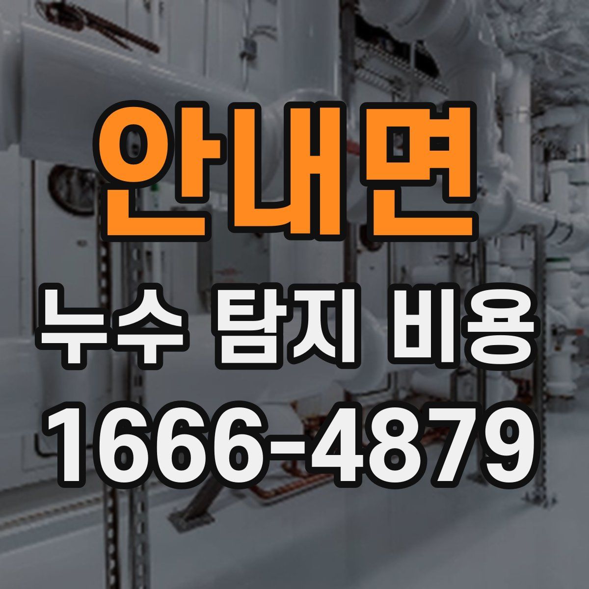 안내면 누수 탐지 비용