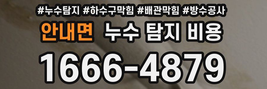 안내면 누수 탐지 비용