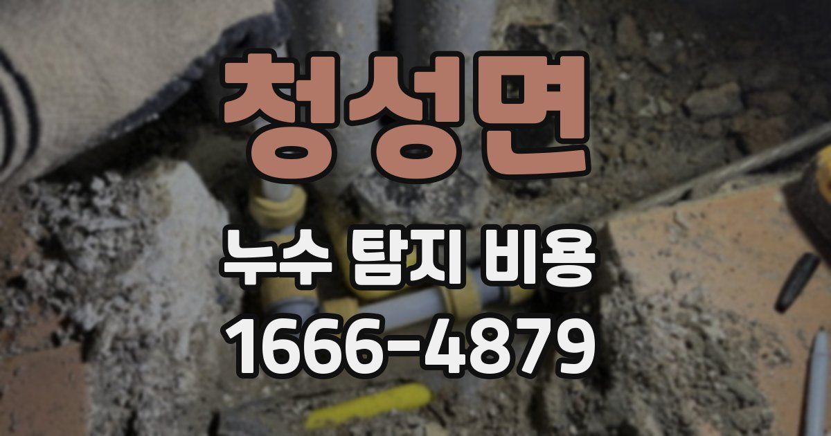 청성면 누수 탐지 비용