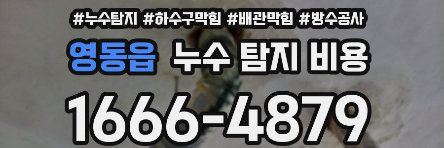 영동읍 누수 탐지 비용
