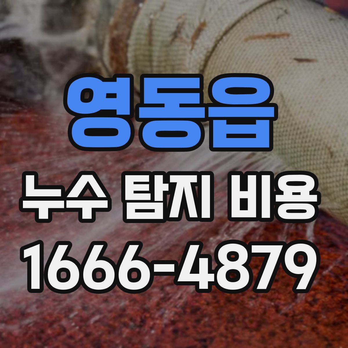 영동읍 누수 탐지 비용