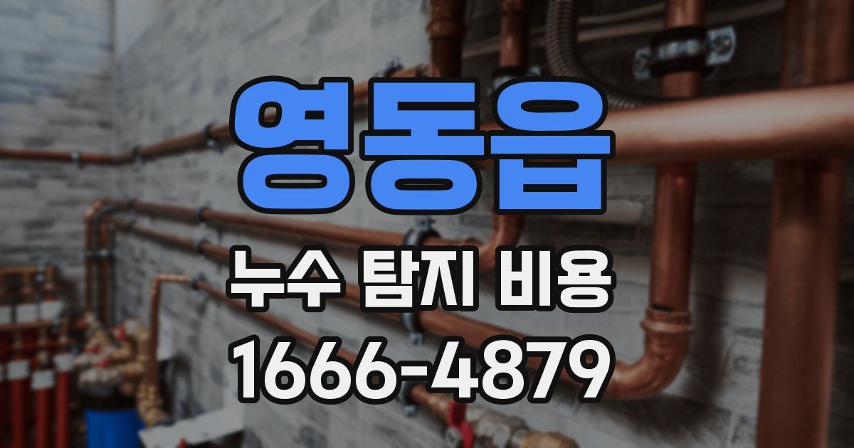 영동읍 누수 탐지 비용