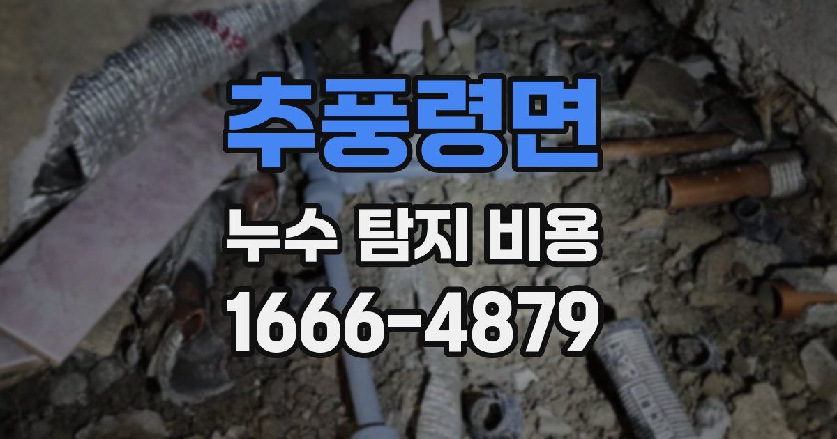 추풍령면 누수 탐지 비용