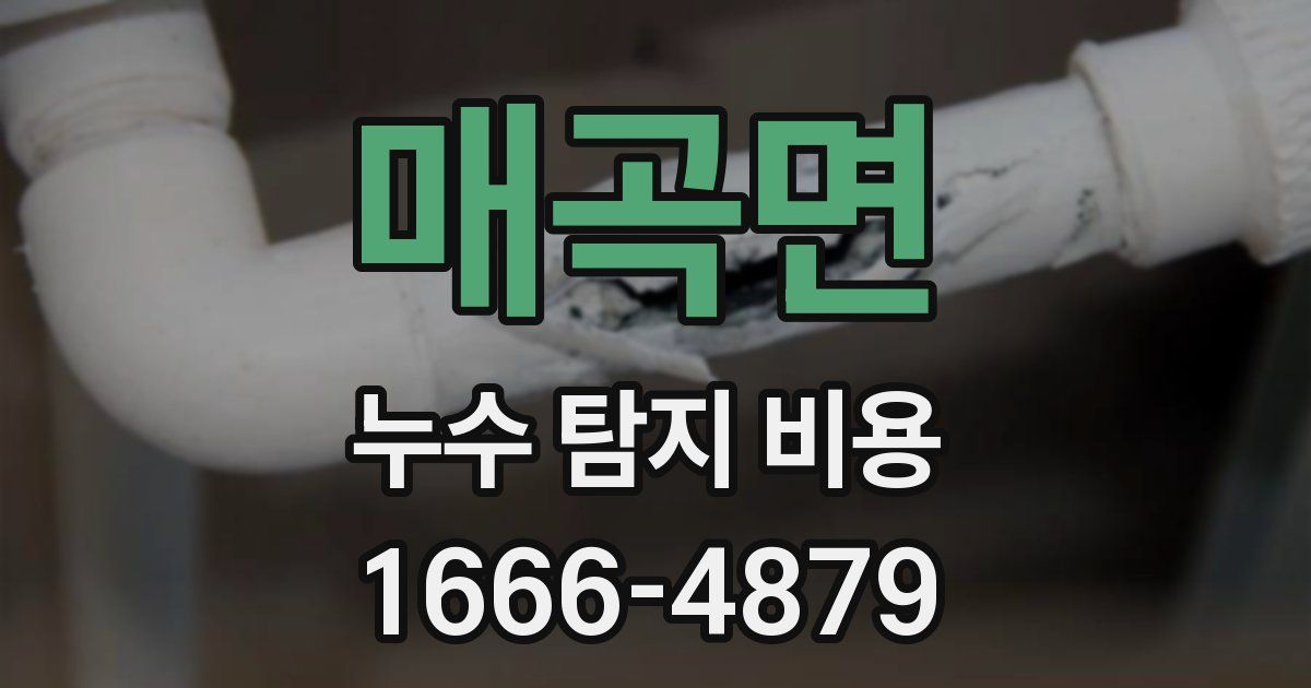 매곡면 누수 탐지 비용