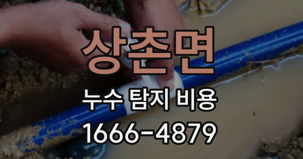 상촌면 누수 탐지 비용