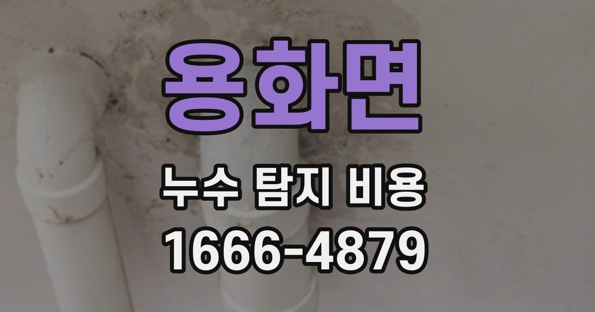 용화면 누수 탐지 비용