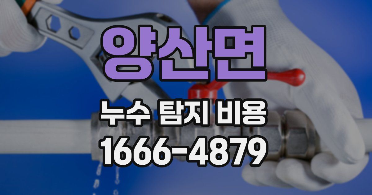 양산면 누수 탐지 비용