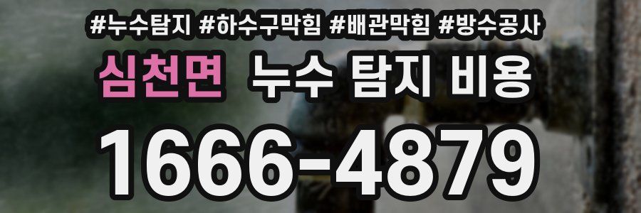 심천면 누수 탐지 비용