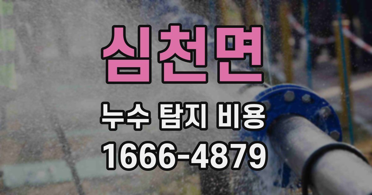 심천면 누수 탐지 비용