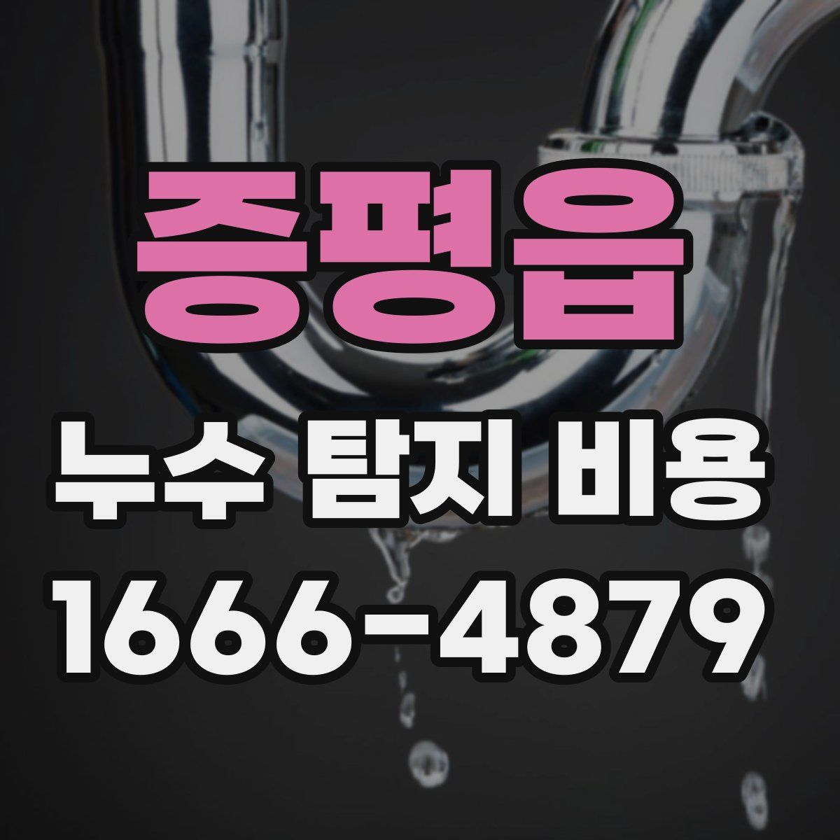 증평읍 누수 탐지 비용
